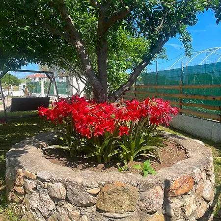 Holiday home Christina's Garden View Casa